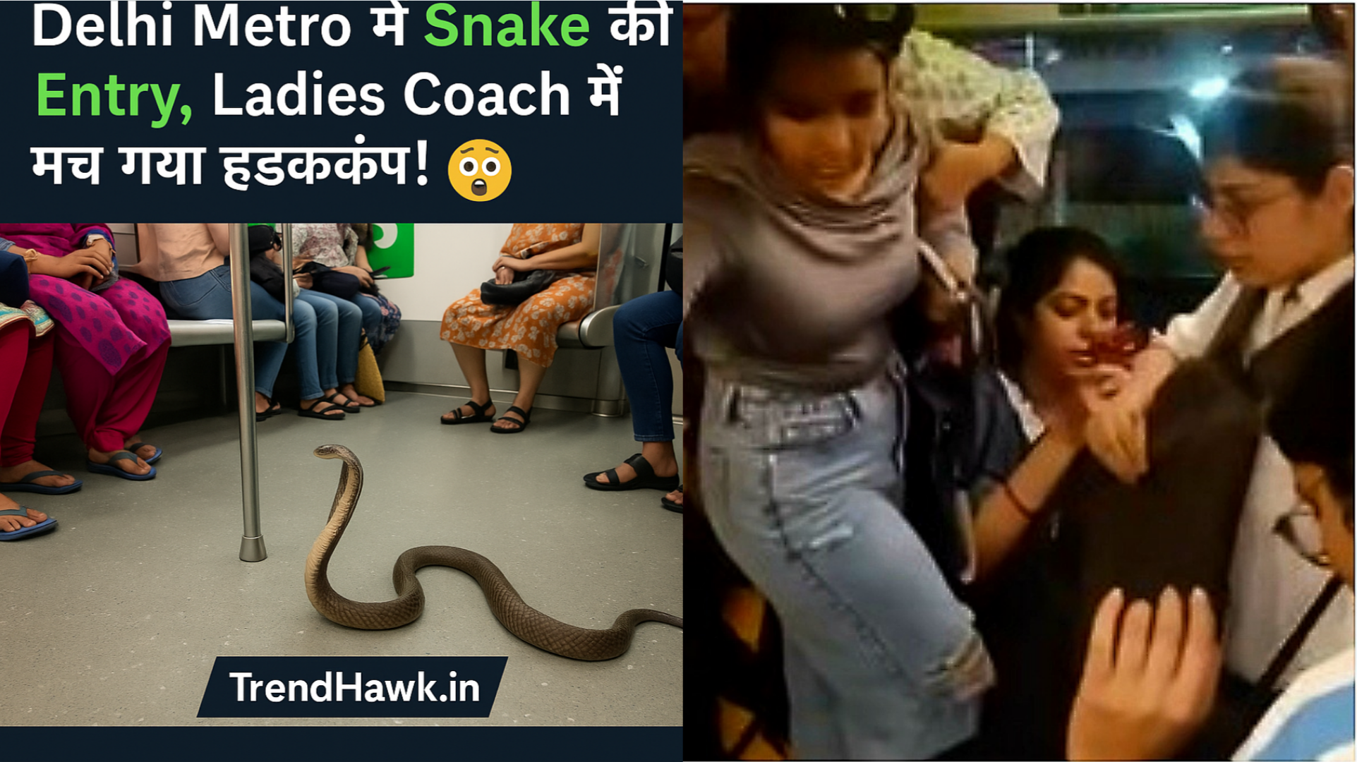 🐍Delhi Metro में सांप की एंट्री! Ladies Coach में हड़कंप, देखें Viral वीडियो!